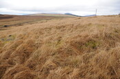 DSC_3042.jpg