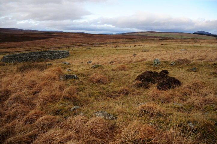 DSC_3081.jpg