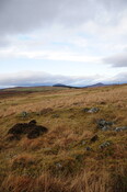 DSC_3087.jpg