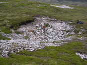 P5070_scaraben_27_06_06.jpg