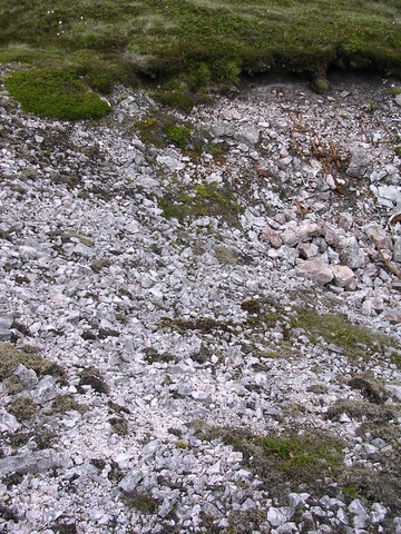 p5070c_27_06_06.jpg