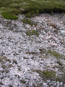 p5070c_27_06_06.jpg