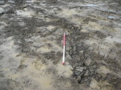 SHG24053_10.JPG