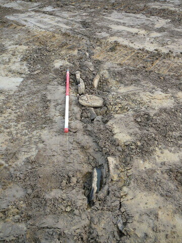 SHG24053_12.JPG