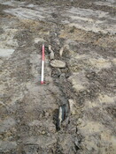 SHG24053_12.JPG