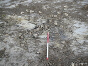 SHG24053_13.JPG