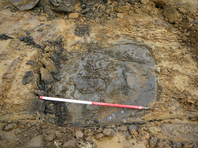SHG24053_15.JPG