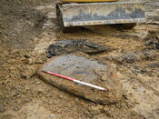 SHG24053_16.JPG
