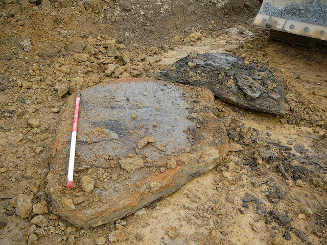 SHG24053_17.JPG