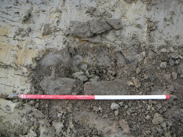 SHG24053_19.JPG