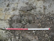SHG24053_19.JPG