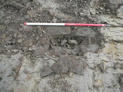 SHG24053_20.JPG