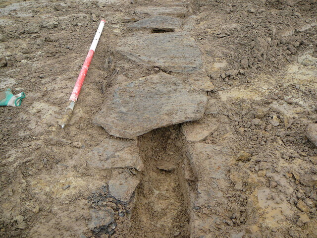 SHG24053_23.JPG