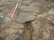 SHG24053_23.JPG