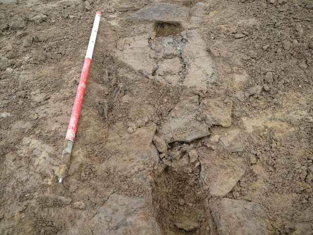 SHG24053_24.JPG