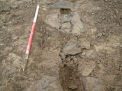 SHG24053_24.JPG
