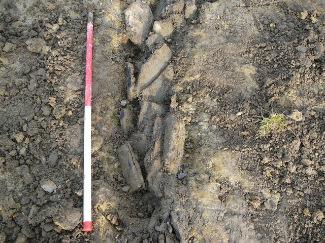 SHG24053_25.JPG