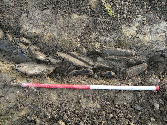 SHG24053_26.JPG