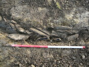SHG24053_26.JPG