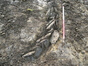 SHG24053_27.JPG