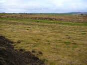 SHG24053_3.JPG