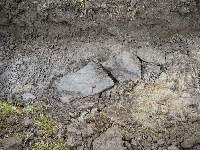 SHG24053_30.JPG
