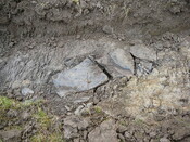 SHG24053_30.JPG