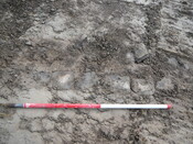 SHG24053_7.JPG