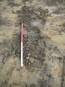SHG24053_8.JPG