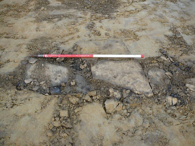 SHG24053_9.JPG