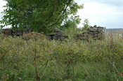pic28 - Sept 08 taken from '5'.JPG