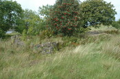 pic40 - Sept 08 taken from '9'.JPG
