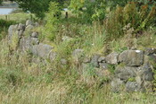 pic41 - Sept 08 taken from '9'.JPG