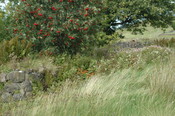 pic42 - Sept 08 taken from '9'.JPG