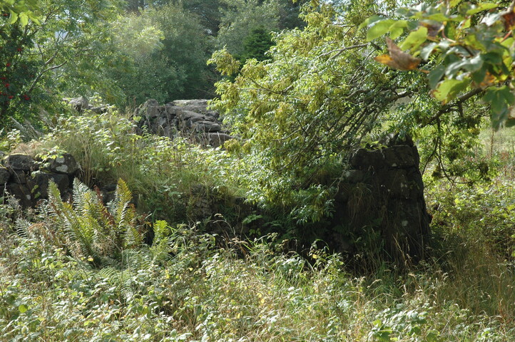 pic46 - Sept 08 taken from '14'.JPG