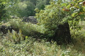 pic46 - Sept 08 taken from '14'.JPG