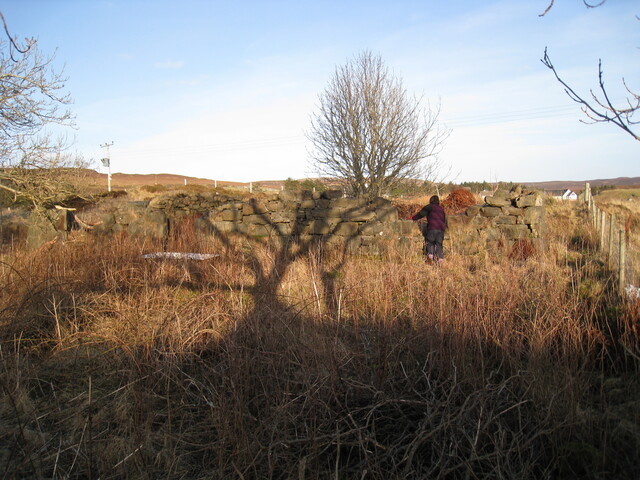 pic 97 taken from '7'.JPG