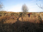 pic 97 taken from '7'.JPG