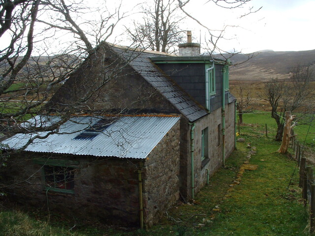 SHG24061_3.jpg