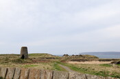 DSC_0923.jpg