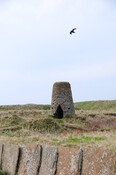 DSC_0924.jpg
