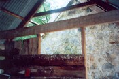 SHG24044_7.jpg