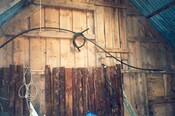 SHG24044_8.jpg
