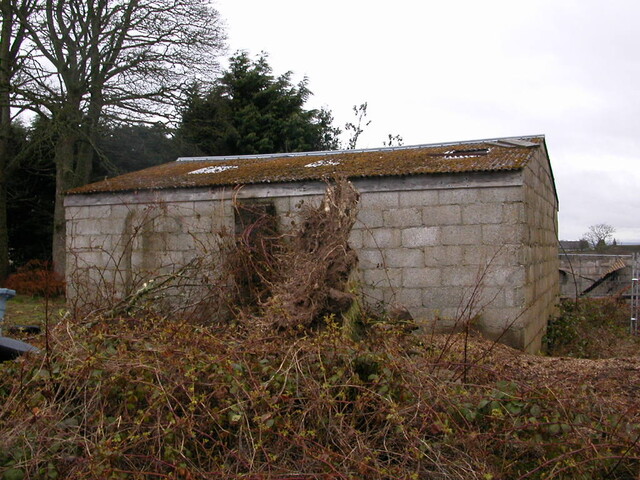 DSCN3412.JPG