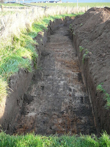 SHG24054_11.JPG