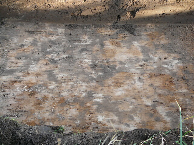 SHG24054_13.JPG