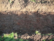 SHG24054_15.JPG