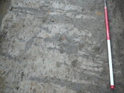 SHG24054_18.JPG