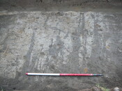 SHG24054_19.JPG