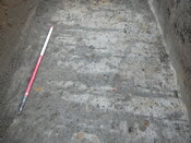 SHG24054_20.JPG